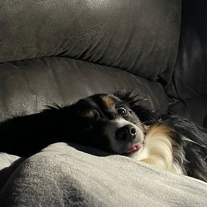 Meet your Posher, Donovan